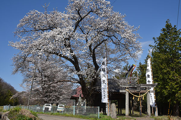 三嶋神社様